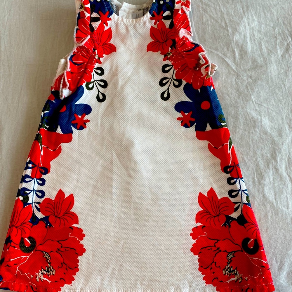 Floral red & blue mini dress